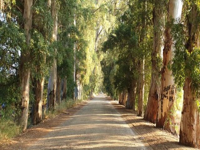 KONYA ÇIKIŞLI GÜNÜBİRLİK DATÇA - MARMARİS - AKYAKA TURU