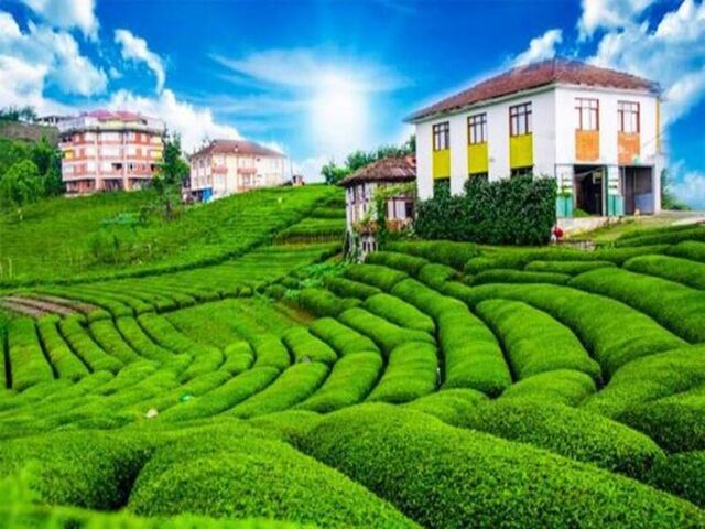 KONYA ÇIKIŞLI BUTİK KARADENİZ VE BATUM TURU ( 2 GECE 3 GÜNDÜZ )