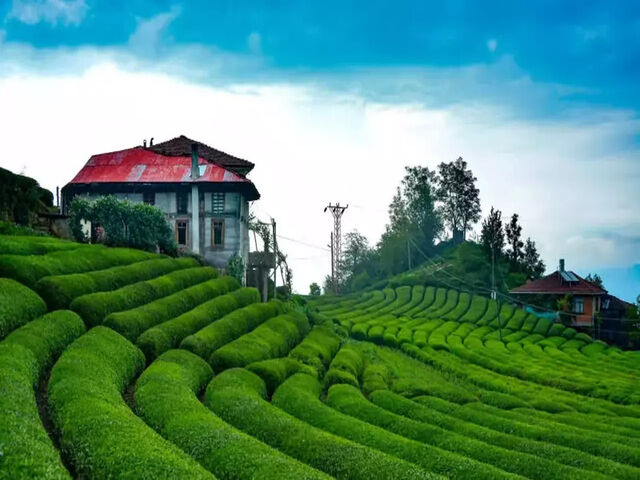 KONYA ÇIKIŞLI BUTİK KARADENİZ VE BATUM TURU ( 2 GECE 3 GÜNDÜZ )