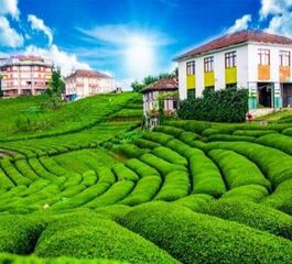 KONYA ÇIKIŞLI BUTİK KARADENİZ VE BATUM TURU ( 2 GECE 3 GÜNDÜZ )