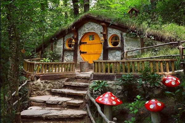 KONYA ÇIKIŞLI GÜNÜBİRLİK SAPANCA ORMANYA MAŞUKİYE TURU